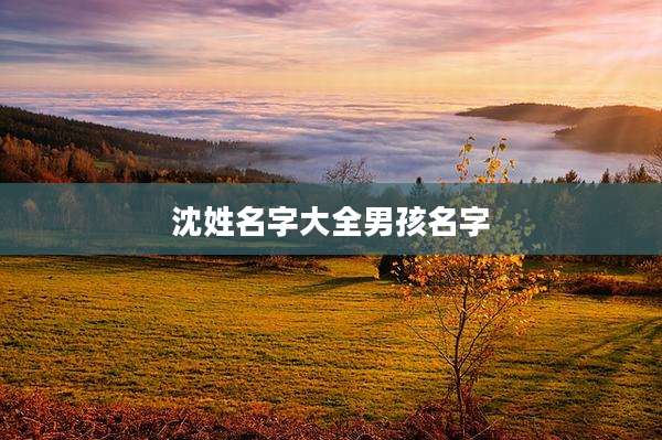 沈姓名字大全男孩名字