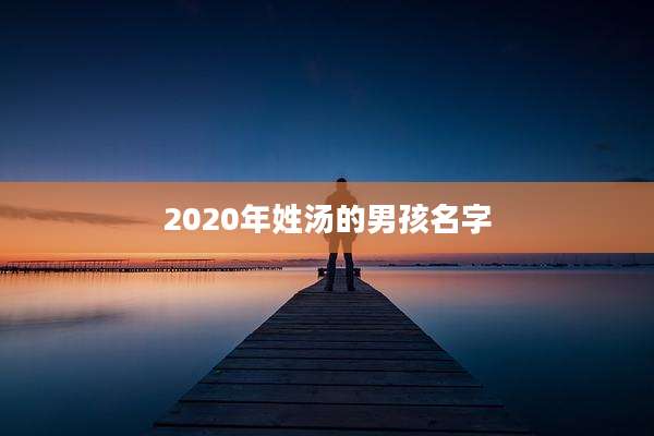 2020年姓汤的男孩名字