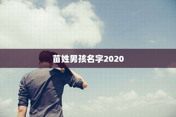 苗姓男孩名字2020