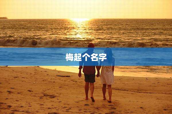 梅起个名字