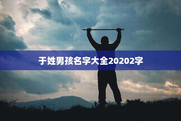 于姓男孩名字大全20202字