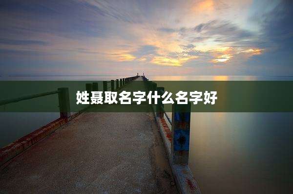 姓聂取名字什么名字好