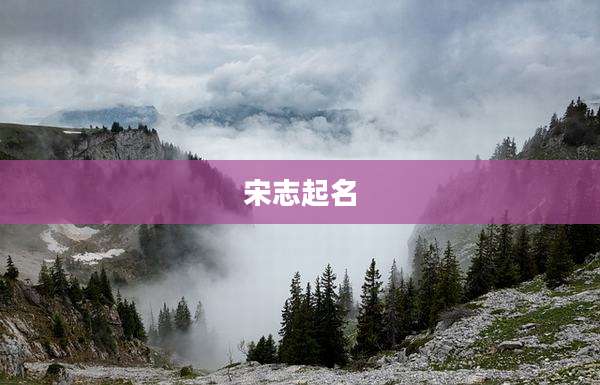 宋志起名
