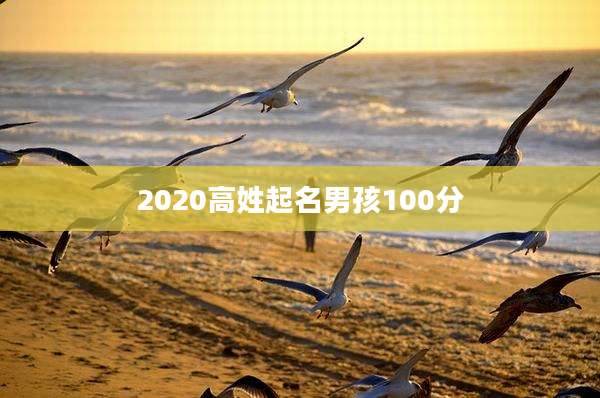 2020高姓起名男孩100分