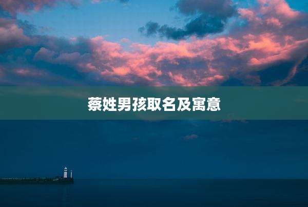 蔡姓男孩取名及寓意