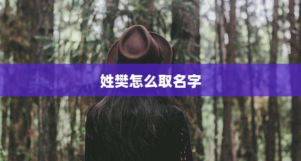 姓樊怎么取名字