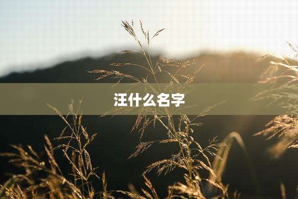 汪什么名字