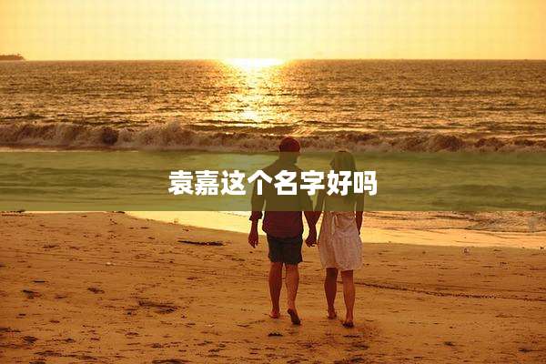 袁嘉这个名字好吗