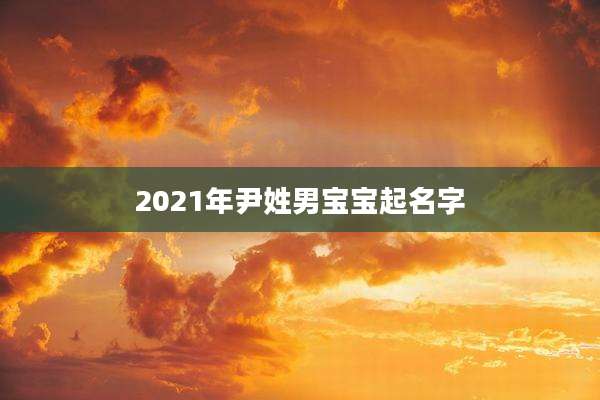 2021年尹姓男宝宝起名字