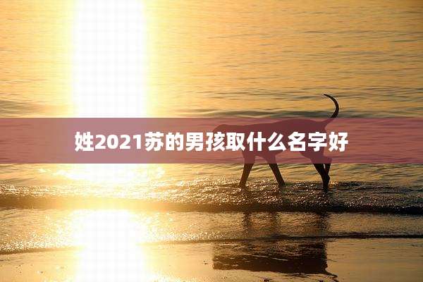 姓2021苏的男孩取什么名字好