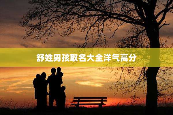 舒姓男孩取名大全洋气高分