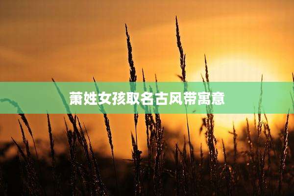 萧姓女孩取名古风带寓意
