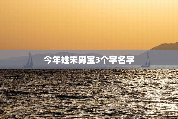 今年姓宋男宝3个字名字