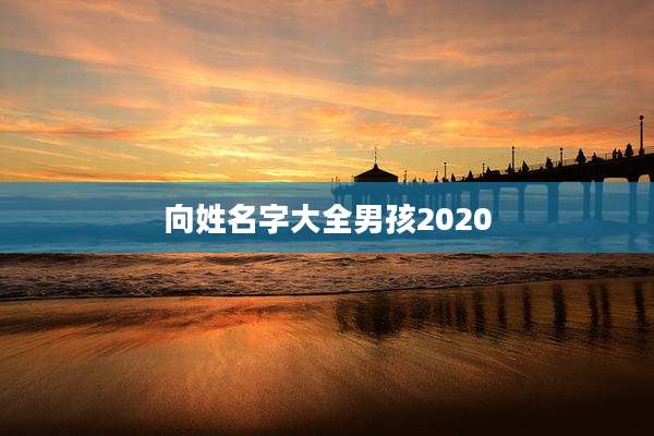 向姓名字大全男孩2020