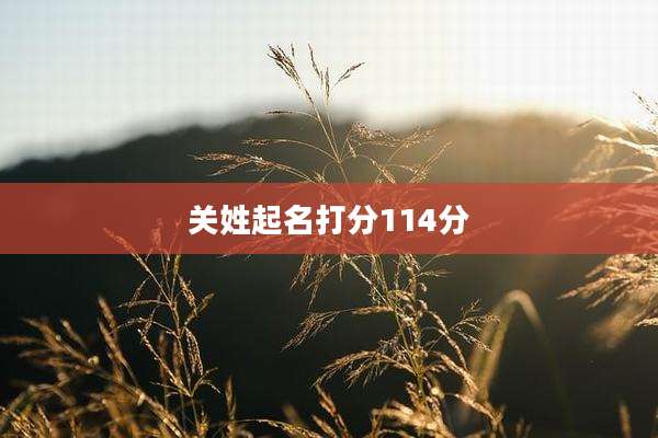 关姓起名打分114分