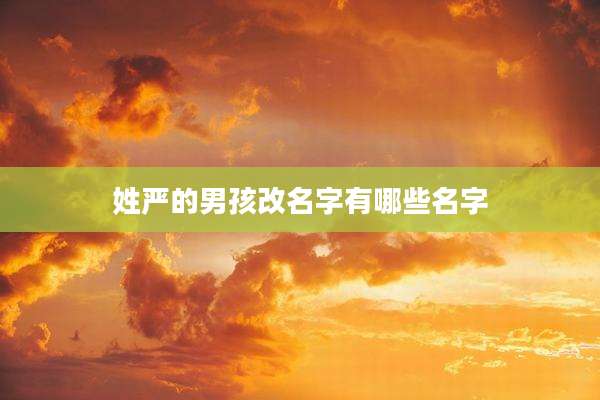 姓严的男孩改名字有哪些名字