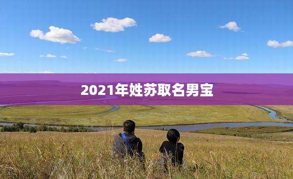 2021年姓苏取名男宝