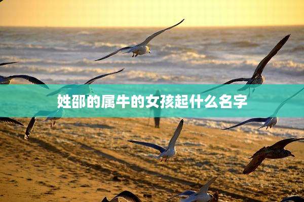 姓邵的属牛的女孩起什么名字