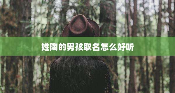 姓陶的男孩取名怎么好听