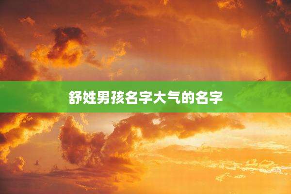 舒姓男孩名字大气的名字