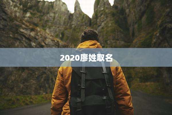 2020廖姓取名