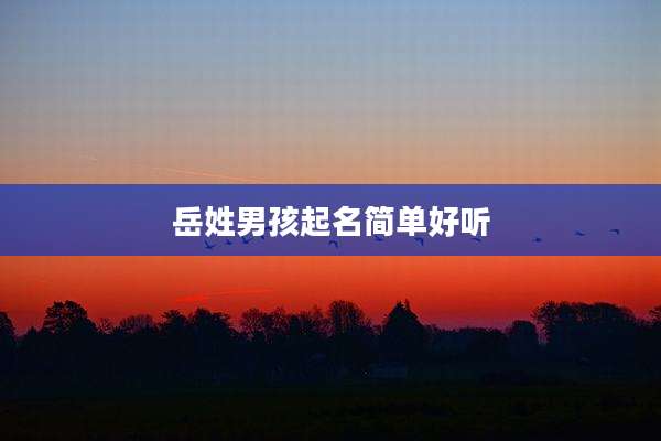岳姓男孩起名简单好听