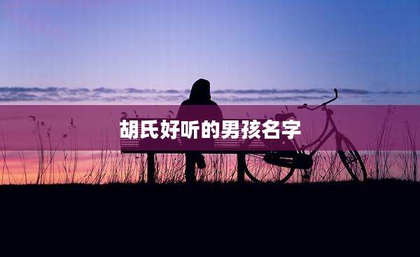 胡氏好听的男孩名字