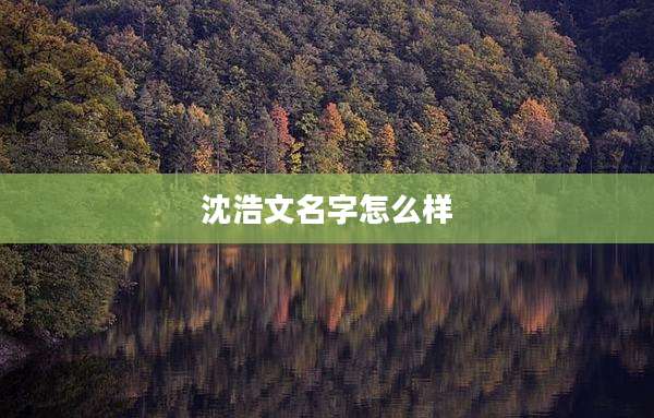 沈浩文名字怎么样