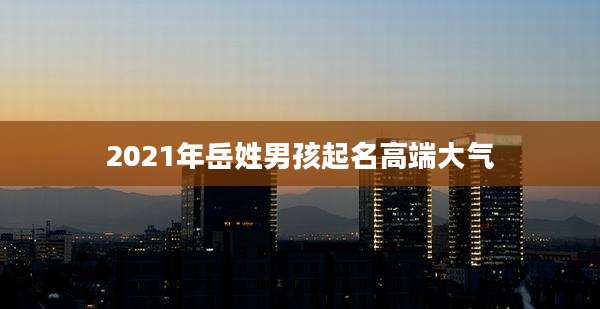 2021年岳姓男孩起名高端大气