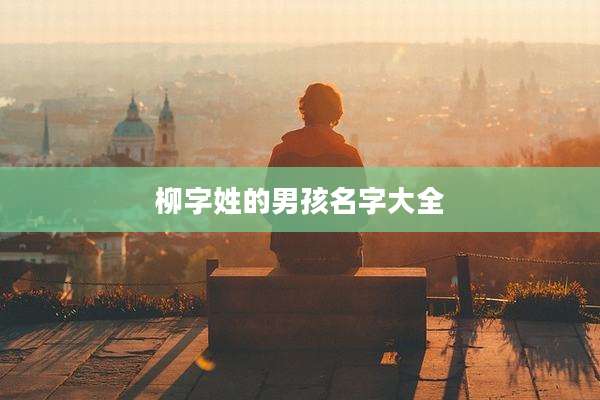 柳字姓的男孩名字大全