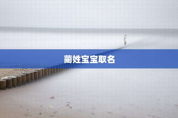蔺姓宝宝取名