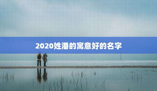 2020姓潘的寓意好的名字