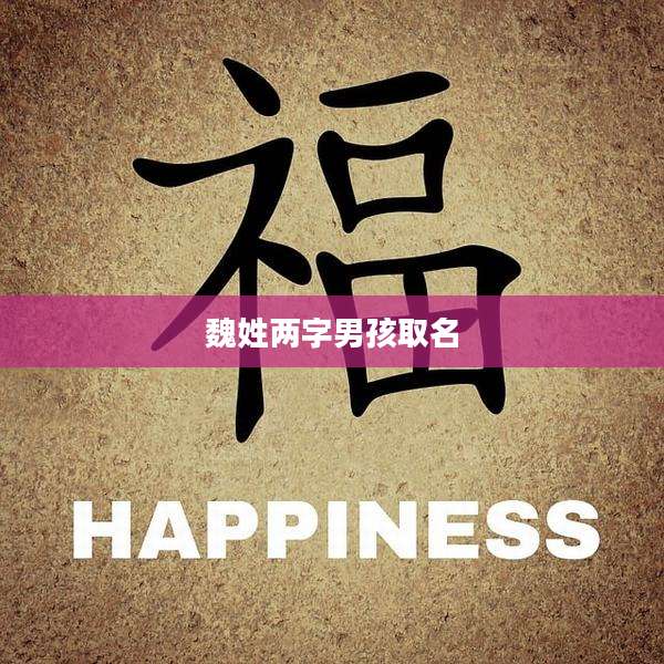 魏姓两字男孩取名