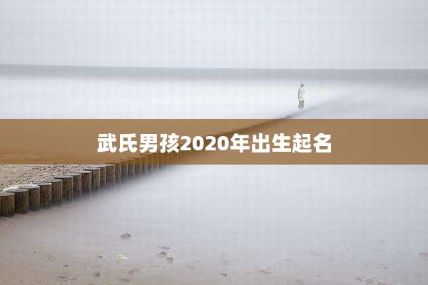 武氏男孩2020年出生起名