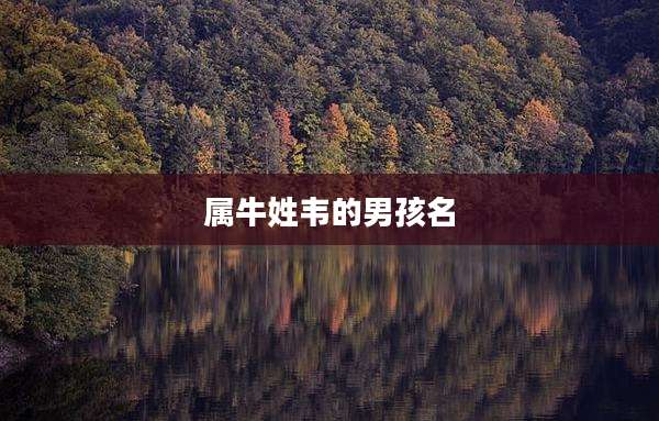 属牛姓韦的男孩名